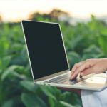 Estudiá Dirección Estratégica de Costos Agrícolas, Ganaderos e Industrias en UNSTA