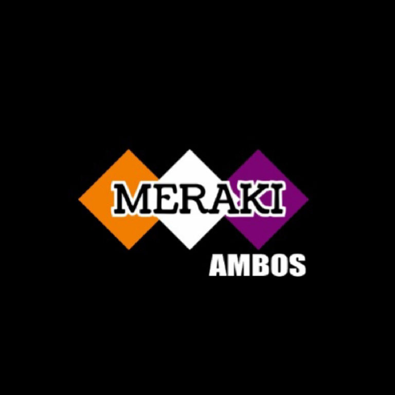 meraki-100